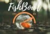 Is Fish Bowl Suitable Environment For Fish Keeping_FishkeepUP_COM