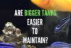 Are Bigger Fish Tanks Easier To Maintain_Fishkeepup_COM