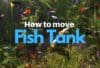 How to Move a Fish Tank Across Room or to Another Room_Fishkeepup_com