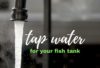 How to make tap water safe for my fish tank_fishkeepup_com